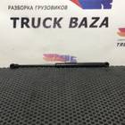 81970060032 Амортизатор рулевой колонки для Man TGL