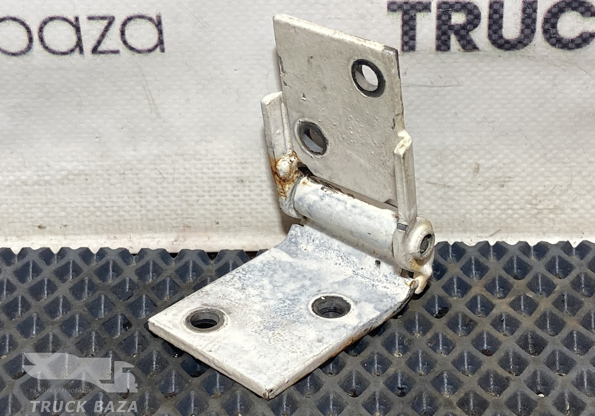 0673439 Петля инструментального ящика для Daf XF105 (с 2005)