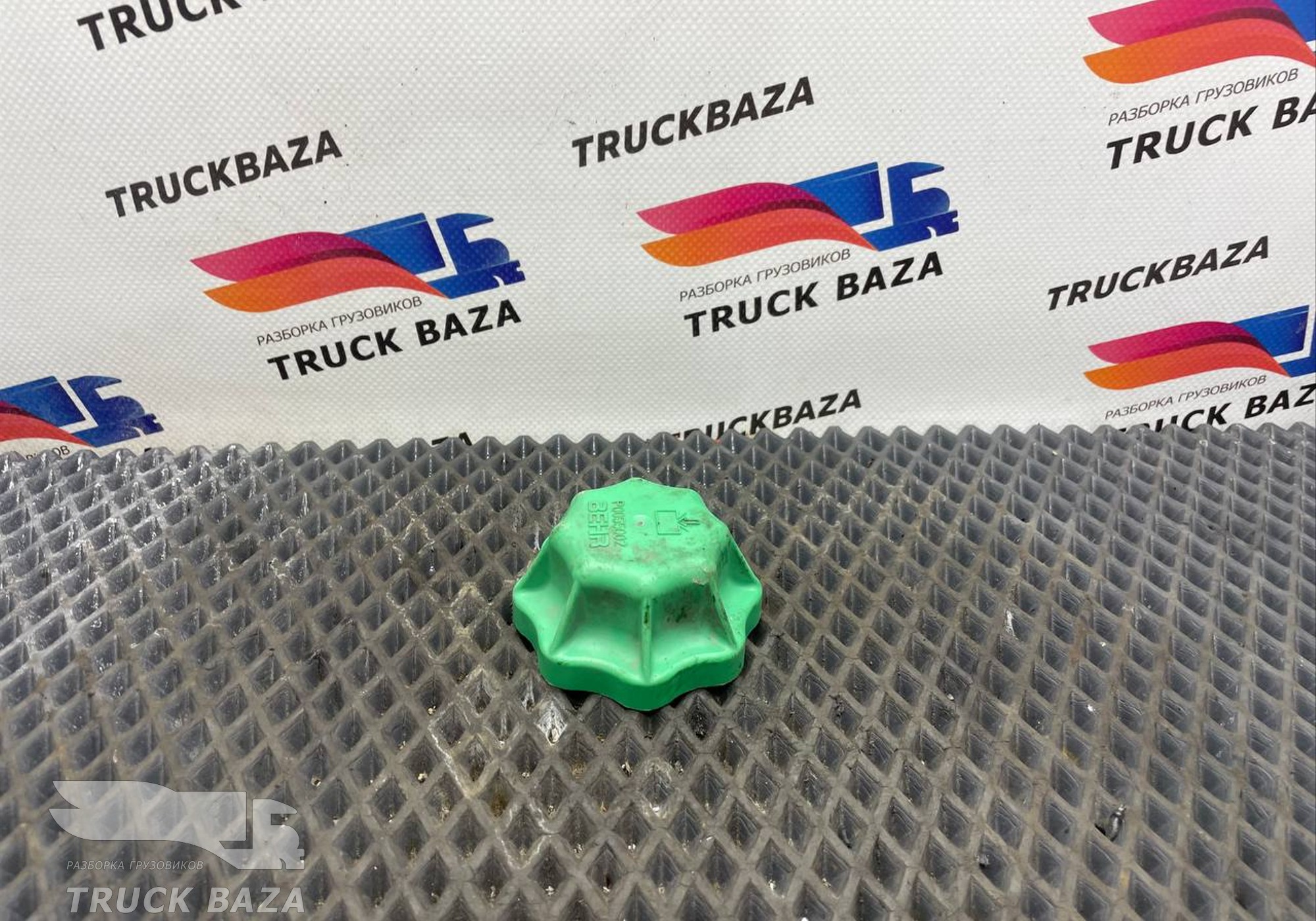 0055002 Крышка расширительного бачка для Mercedes-Benz Actros MP3 (с 2008)