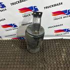 22058738 Подушка пневмоподвески задняя для Renault T