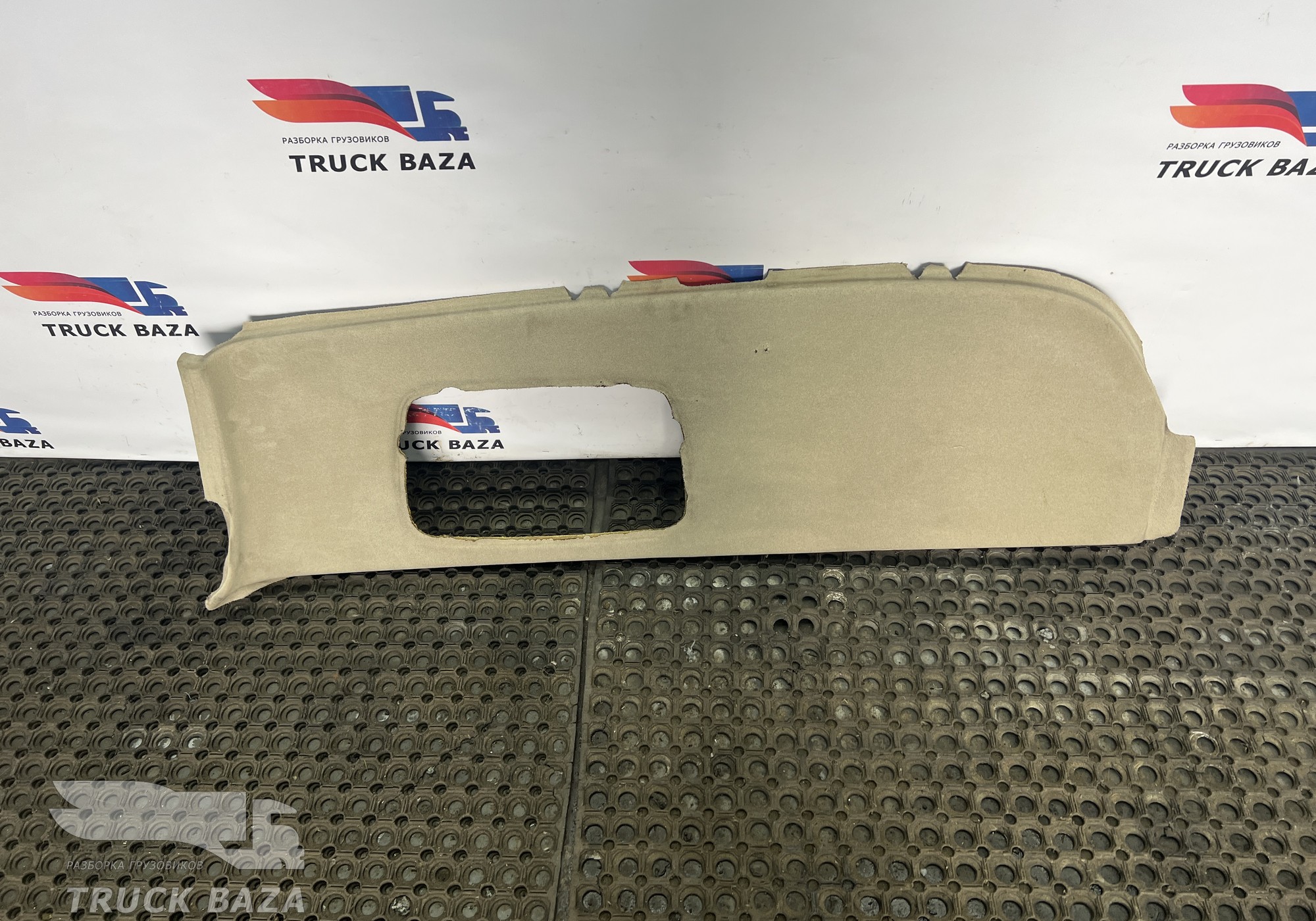 1866400 Обшивка потолка правая