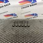 8131597 Болты кронштейна форсунки топливной для Volvo