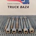 06019090011 Комплект болтов тормозного диска