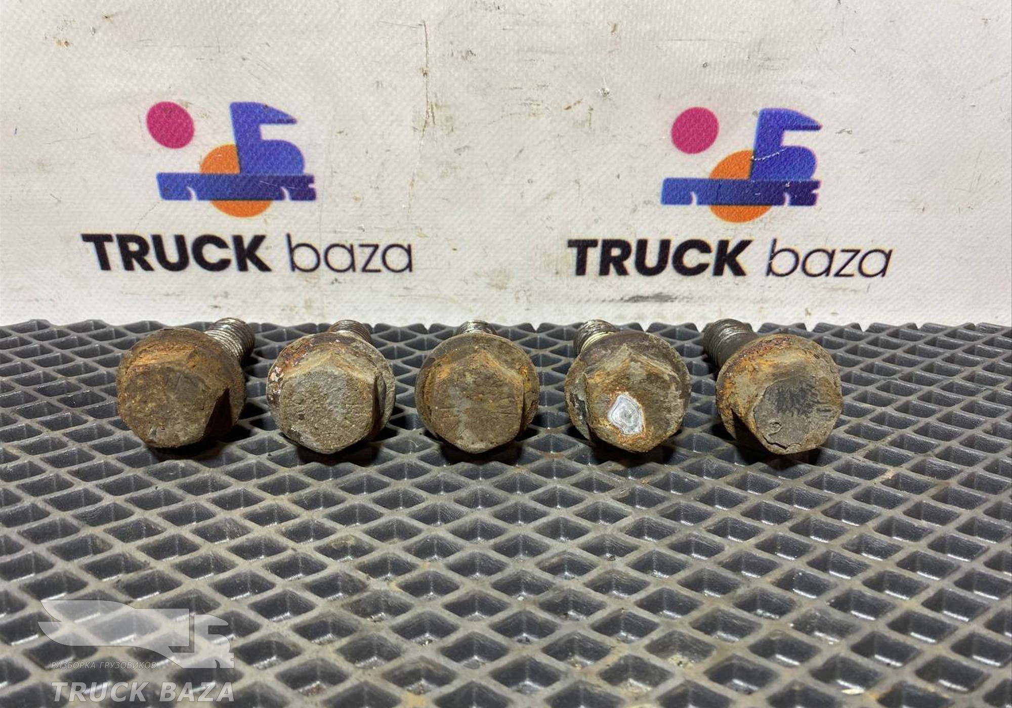 1606700 Комплект болтов суппорта для Daf CF I (с 2000 по 2006)