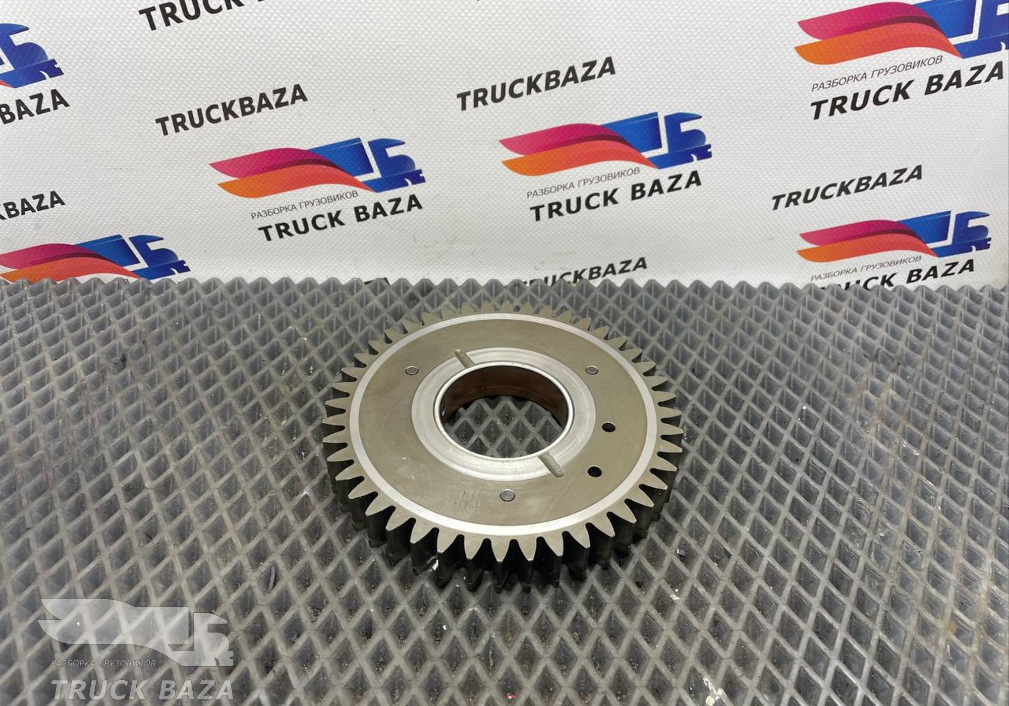 51113066006 Шестерня ГРМ промежуточная для Man TGX II (с 2012)