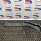 9416841018 Накладка порога правая для Mercedes-Benz Actros MP3 (с 2008)