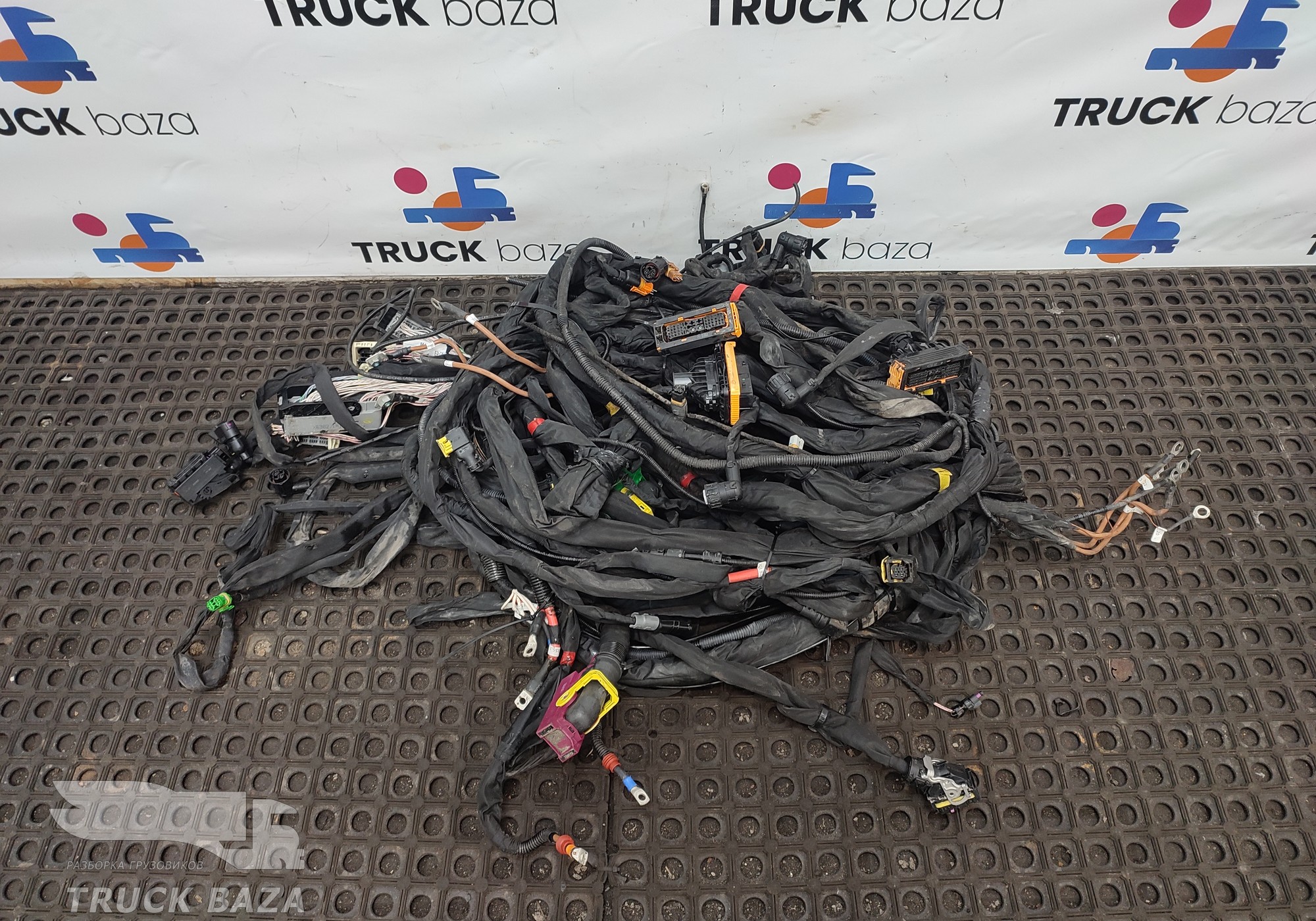 81254816037 Проводка шасси основная для Man TGX TG3 (с 2020)