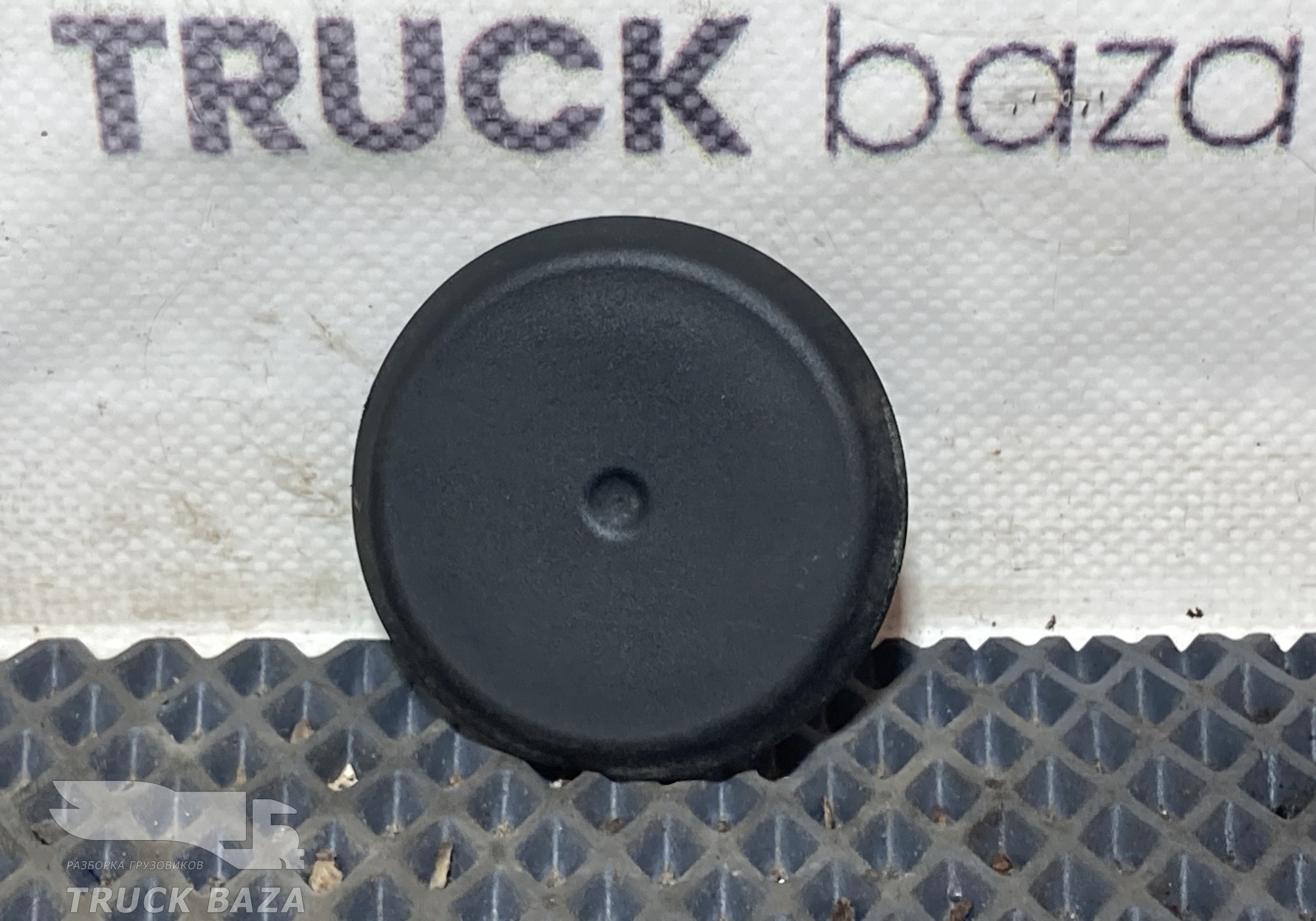 A0029983050 Заглушка панели для КАМАЗ 54901