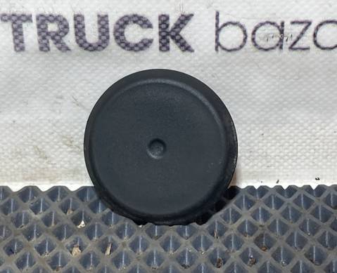 A0029983050 Заглушка панели для КАМАЗ 54901