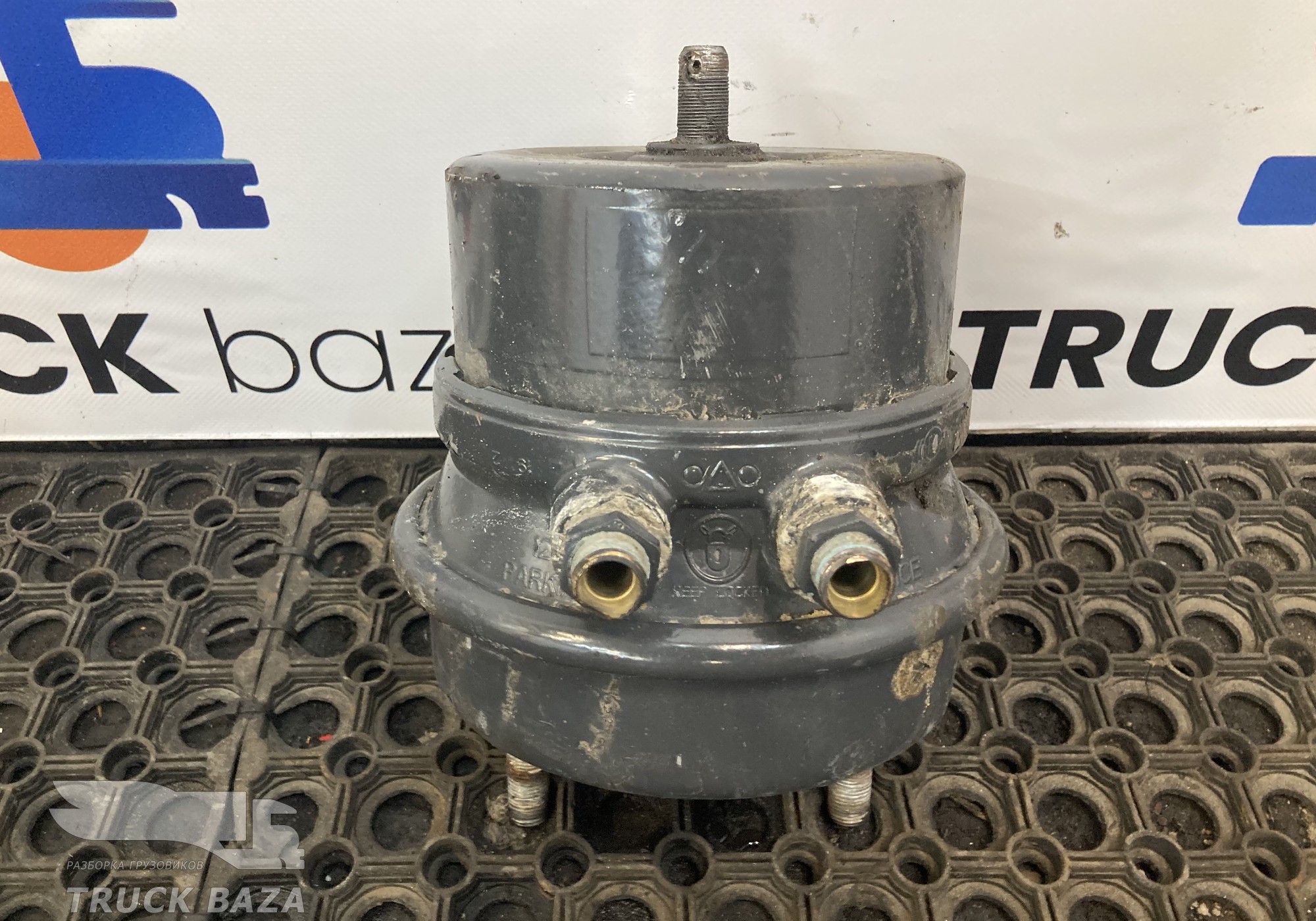 2494058 Энергоаккумулятор задний для Scania 6-series R (с 2016)