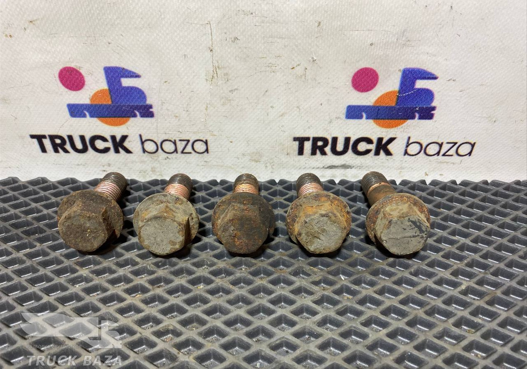 1606700 Комплект болтов суппорта для Daf CF I (с 2000 по 2006)
