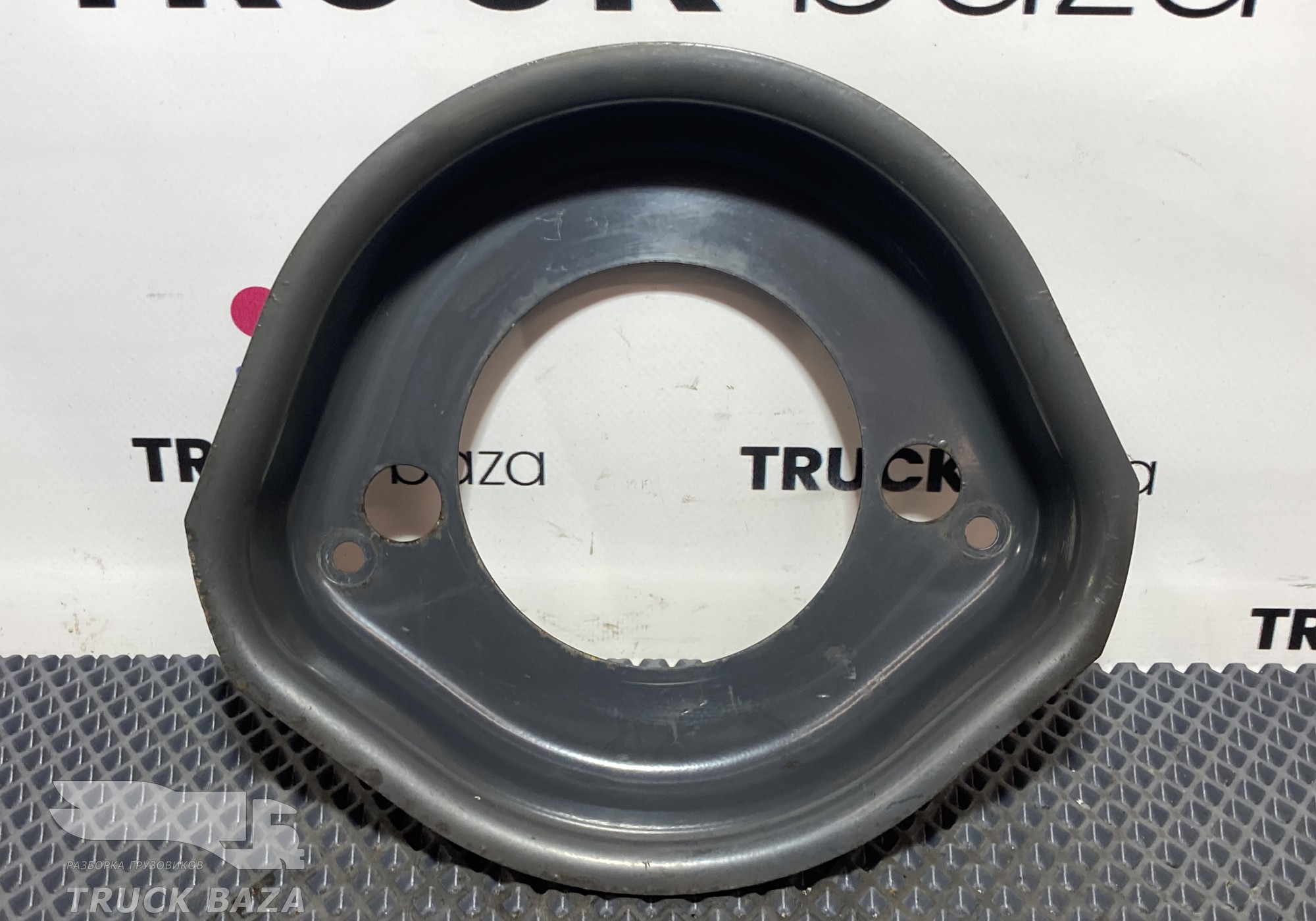 1387098 Щит тормозной