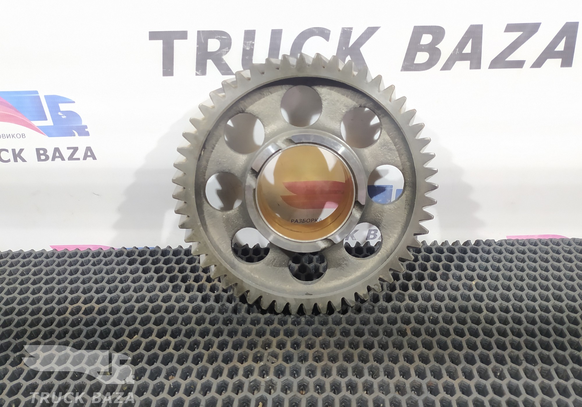 500305485 Шестерня ГРМ для Iveco EuroTech