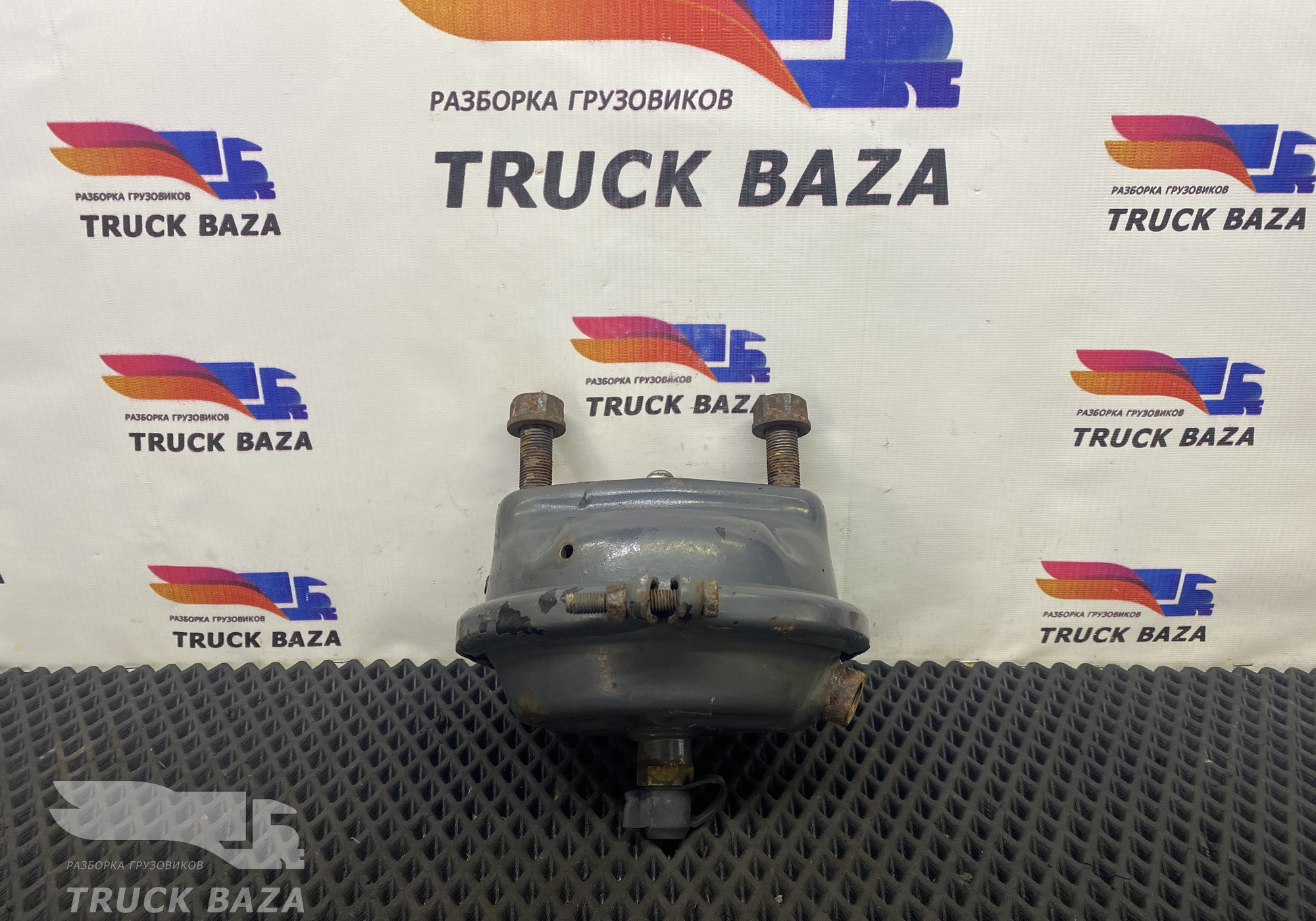 1791409 Камера тормозная для Daf CF