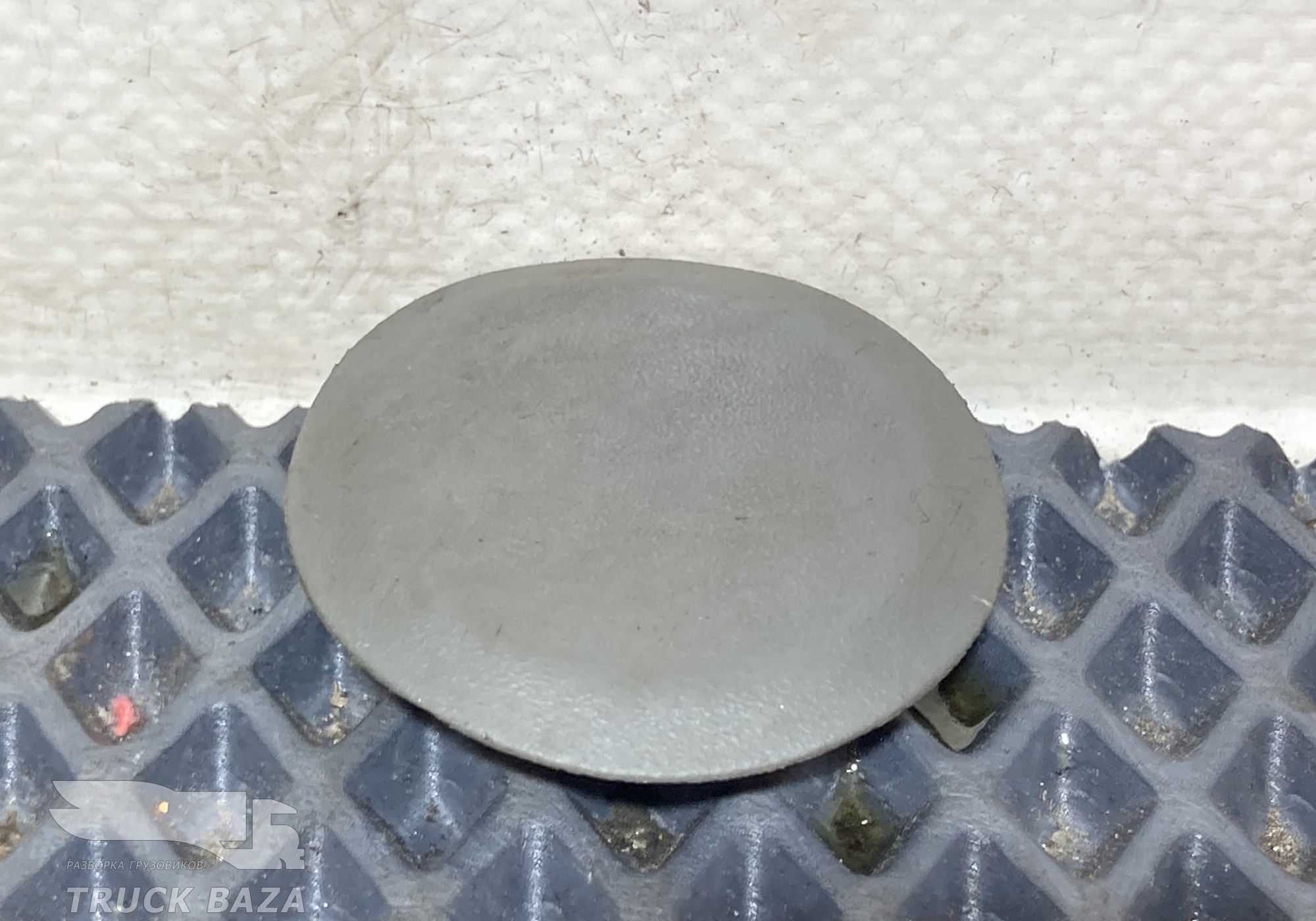 A9419970286 Заглушка корпуса подножки