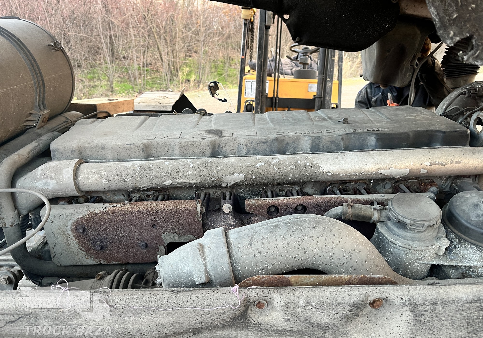 Man TGS I 2011 г. в разборе