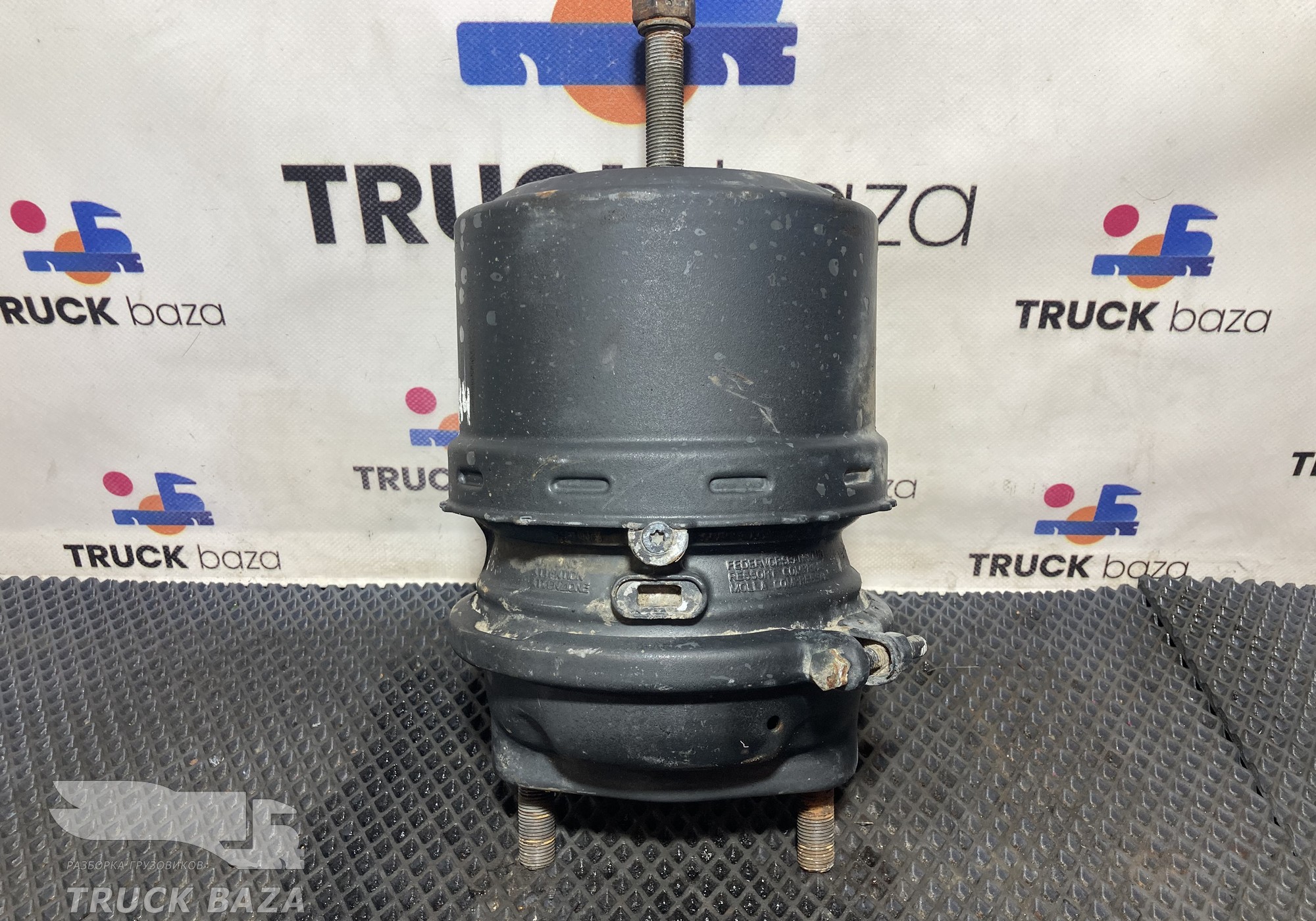 9254914300 Энергоаккумулятор тормозной для КАМАЗ 5490 (с 2013)