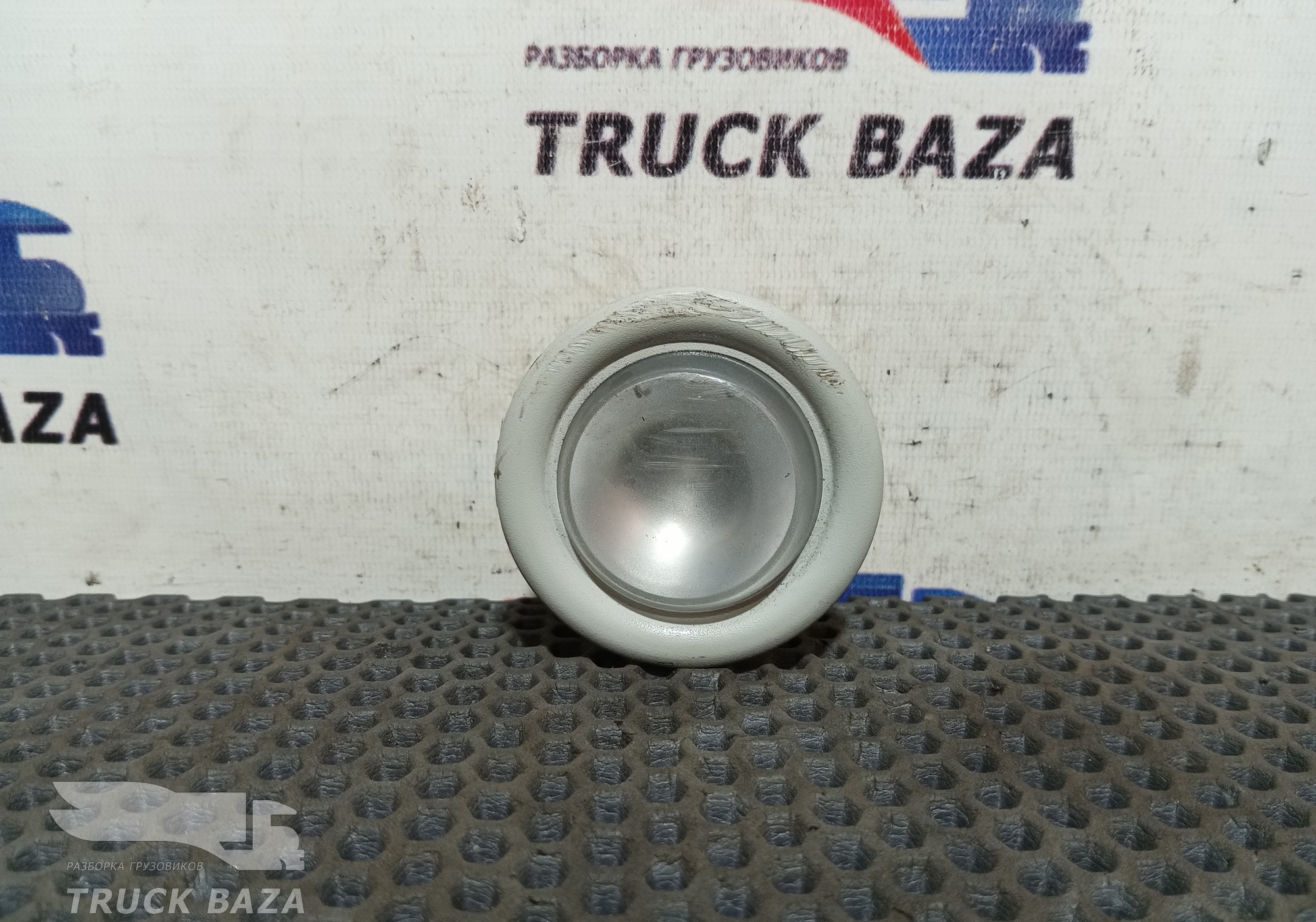 41221043 Плафон салонный для Iveco Stralis I (с 2002)