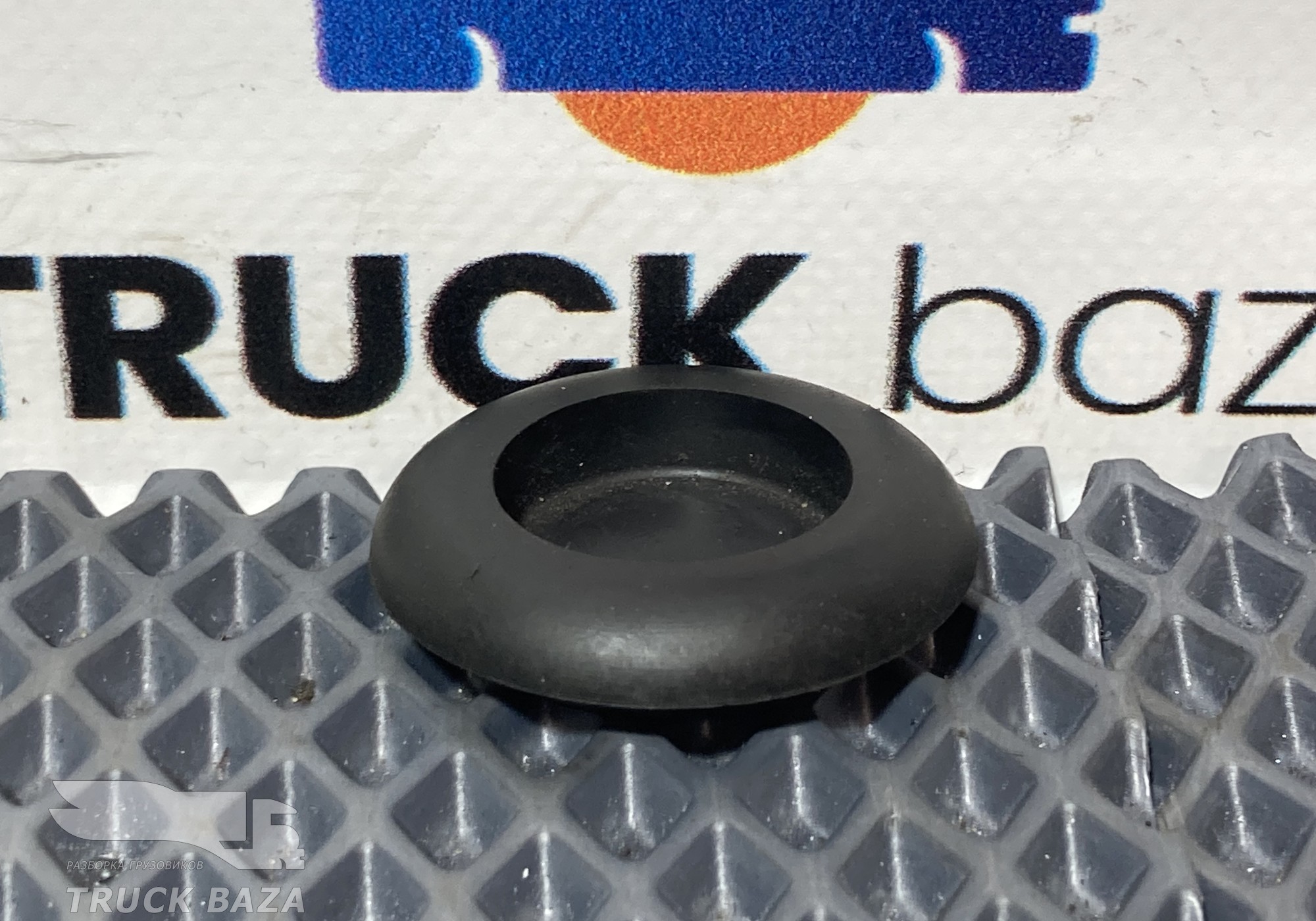 1825213 Заглушка двери для Scania 6-series R (с 2016)