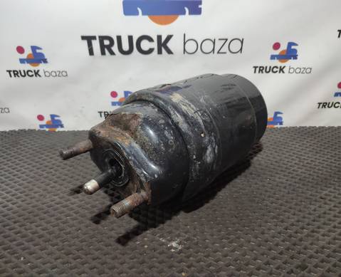 81504116015 Энергоаккумулятор тормозной для Man TGX