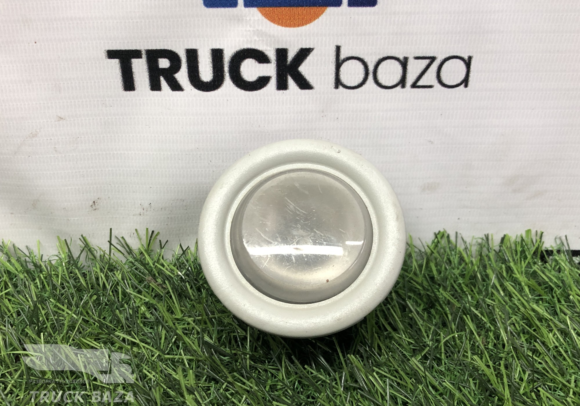 41221043 Плафон салонный для Iveco Stralis I (с 2002)