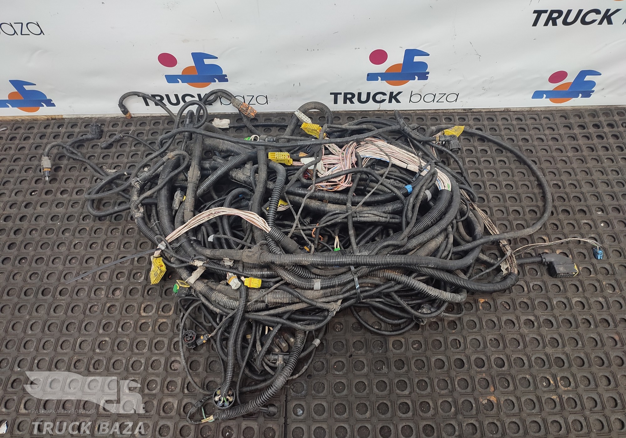 81254585053 Проводка шасси основная