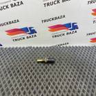 0281002209 Датчик температуры охлаждающей жидкости для Ford F-MAX (с 2018)