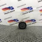 331316170314 Ролик натяжителя ремня для Daf XF106 (с 2013 по 2023)