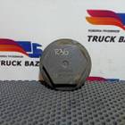 20740393 Крышка шкворня для Renault