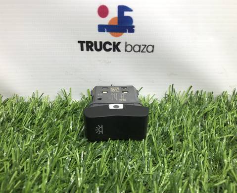 2500069 Кнопка внутреннего освещения кабины для Scania