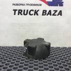 0005017015 Крышка расширительного бачка для Mercedes-Benz Axor III (с 2010)
