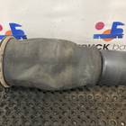 Пневмоподушка задняя для Man TGX TG3 (с 2020)