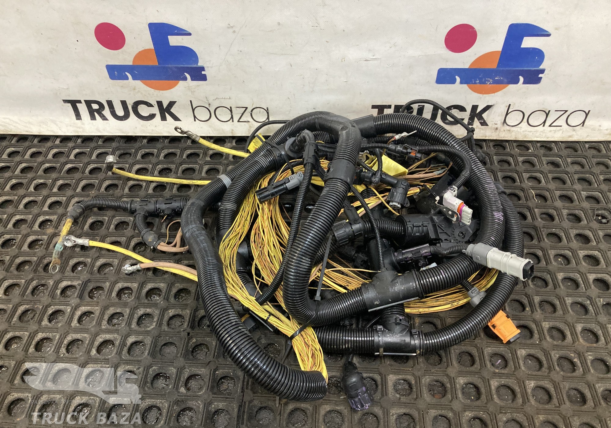 81254246488 Электропроводка двигателя