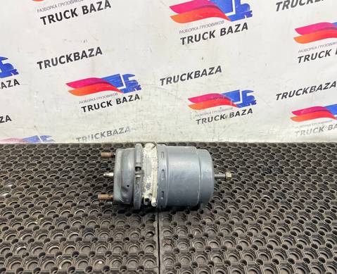 1686001 Энергоаккумулятор тормозной задний для Daf XF105 (с 2005)