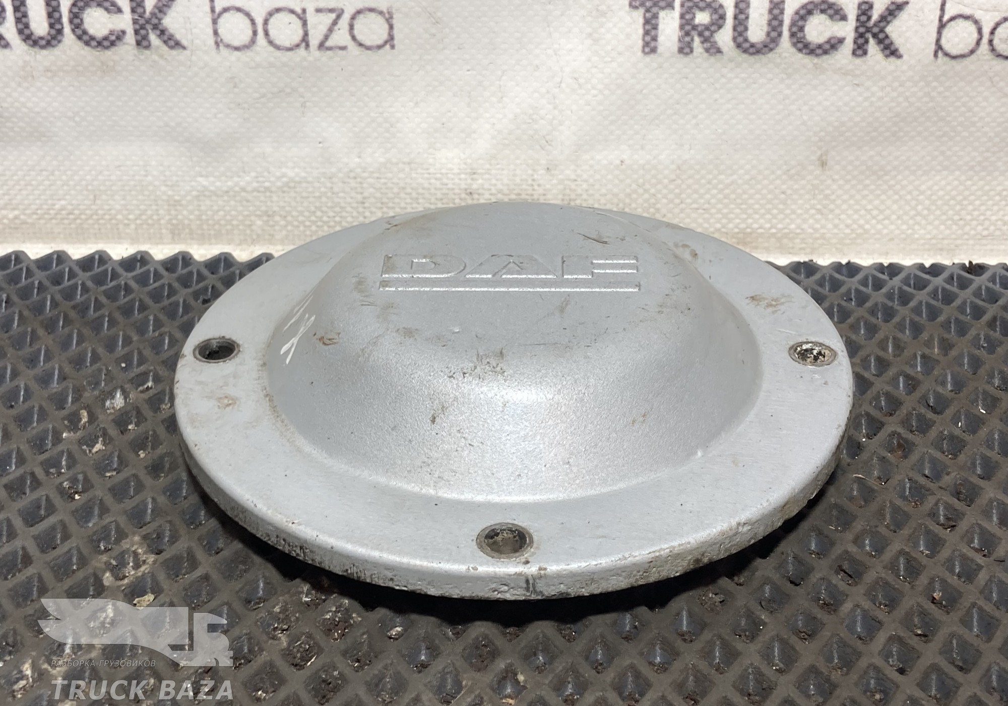 1691965 Крышка ступицы передней