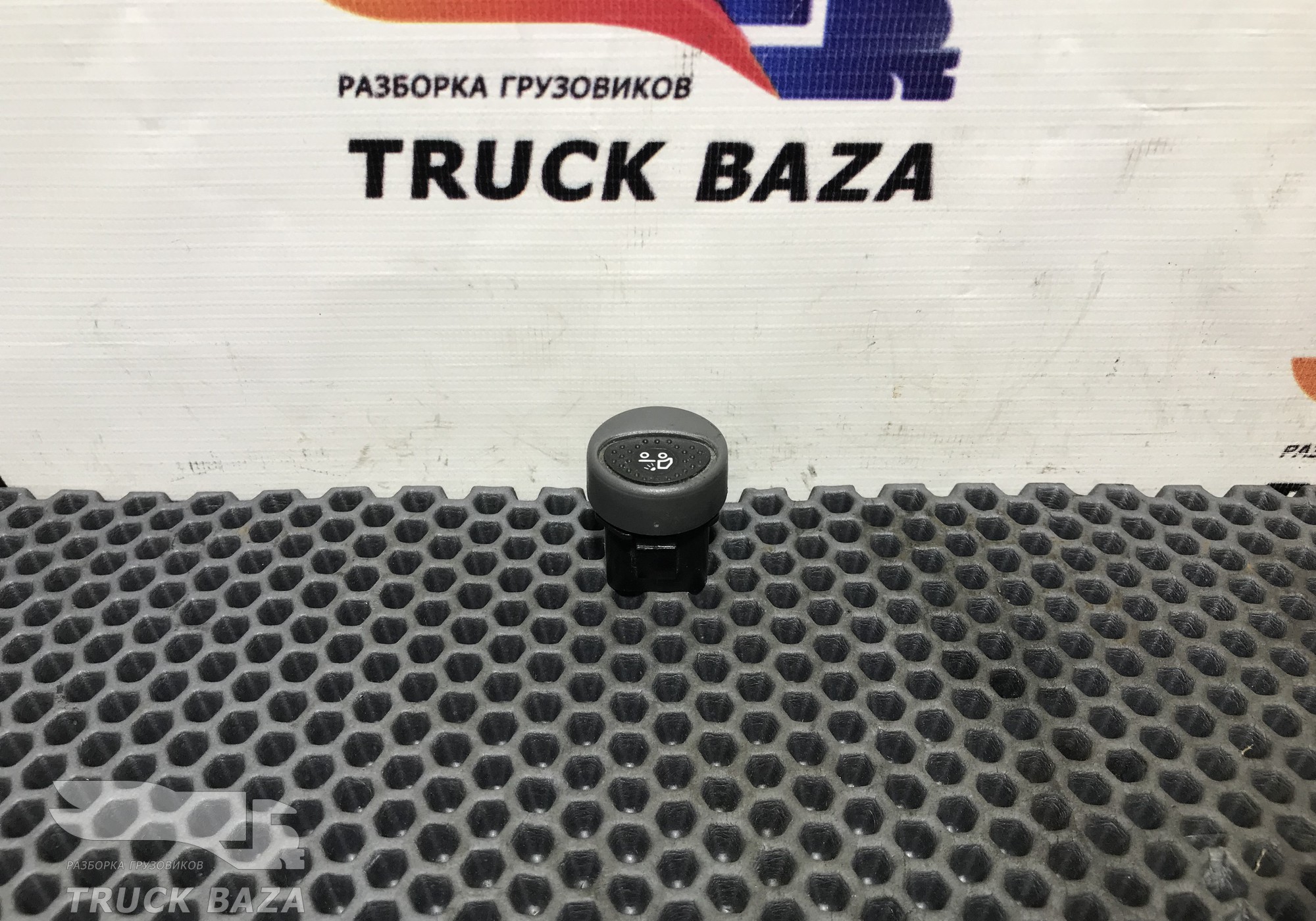 504096698 Кнопка освещения за кабиной для Iveco Stralis I (с 2002)
