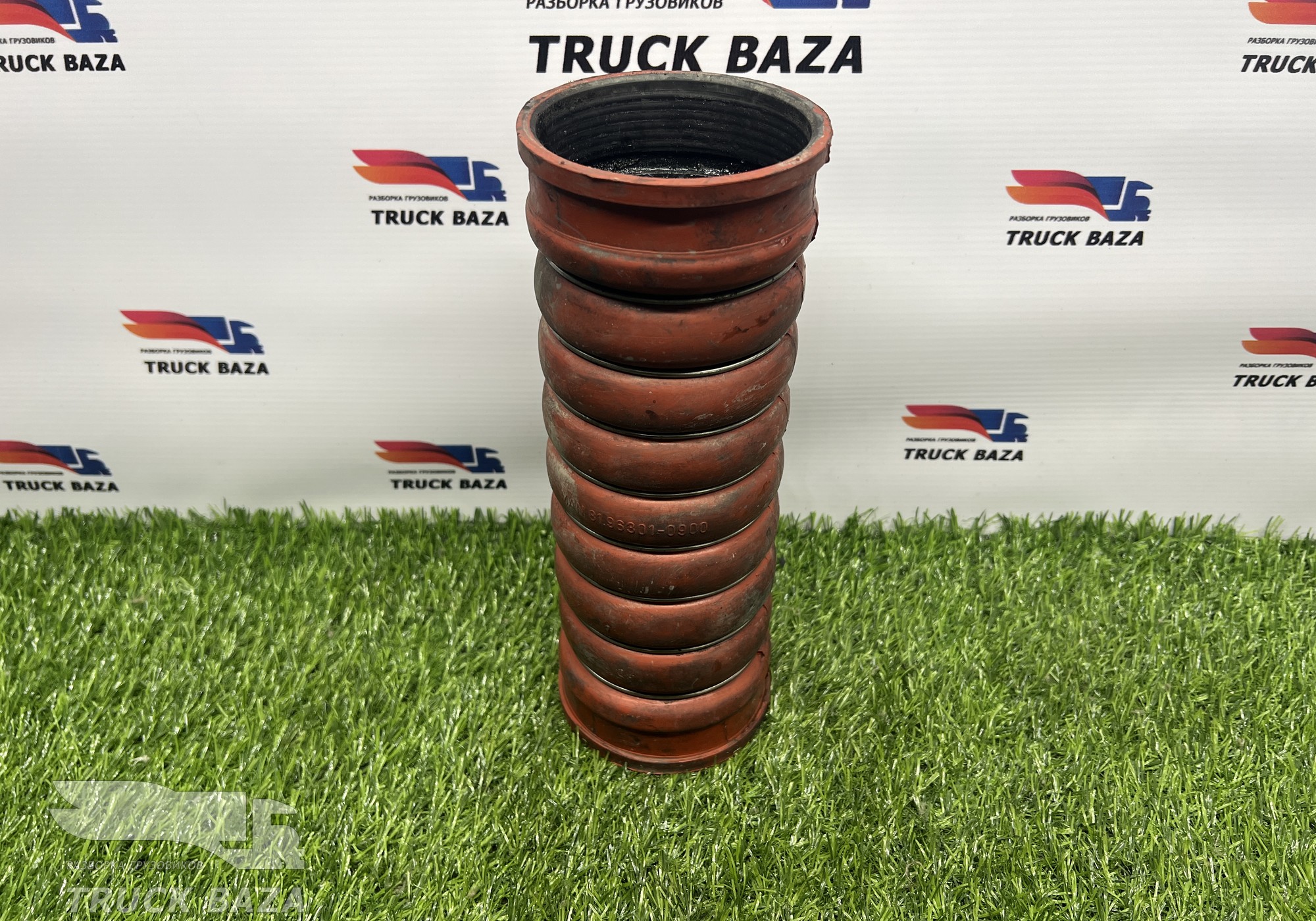 81963010900 Патрубок интеркулера для Man TGX