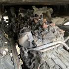 Daf XF105 2020 г. в разборе