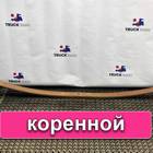 5010327827 Рессора передняя для Renault Midlum II (с 2005 по 2013)