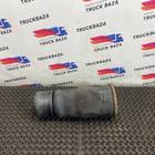 81436010152 Подушка пневматическая задняя для Man TGX TG3 (с 2020)