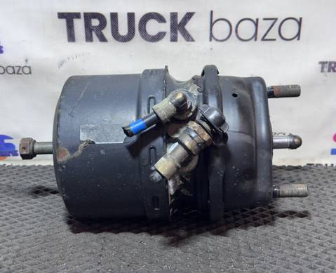 0244200918 Энергоаккумулятор задний для КАМАЗ