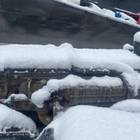 Mercedes-Benz Actros New Actros MP4 2021 г. в разборе