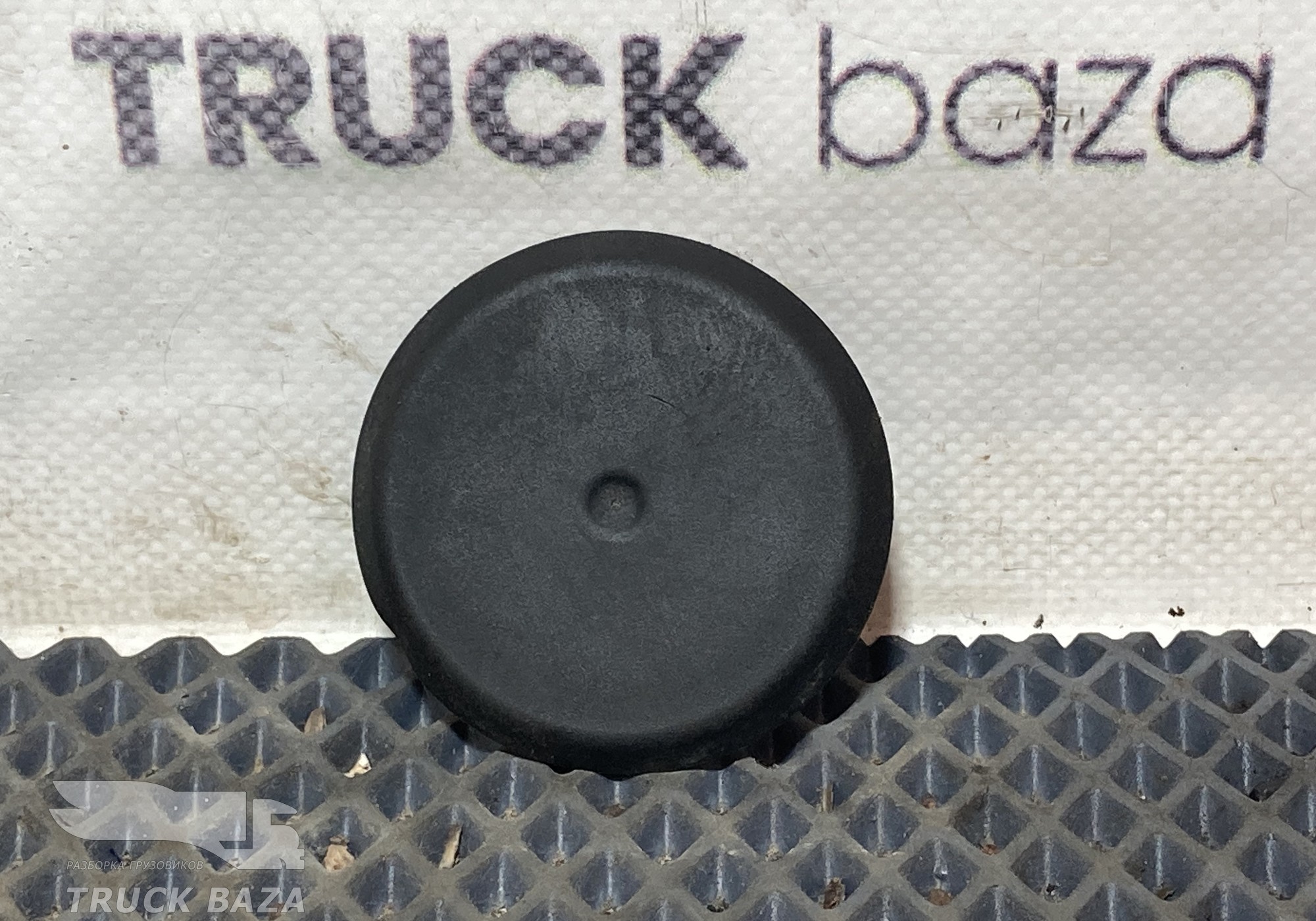 A0029983050 Заглушка панели для КАМАЗ 54901