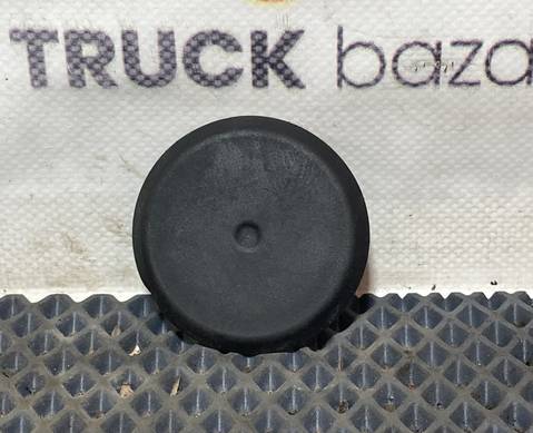 A0029983050 Заглушка панели для КАМАЗ 54901