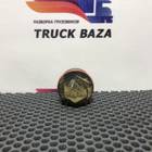 1374051 Клапан расширительного бачка для Daf 95