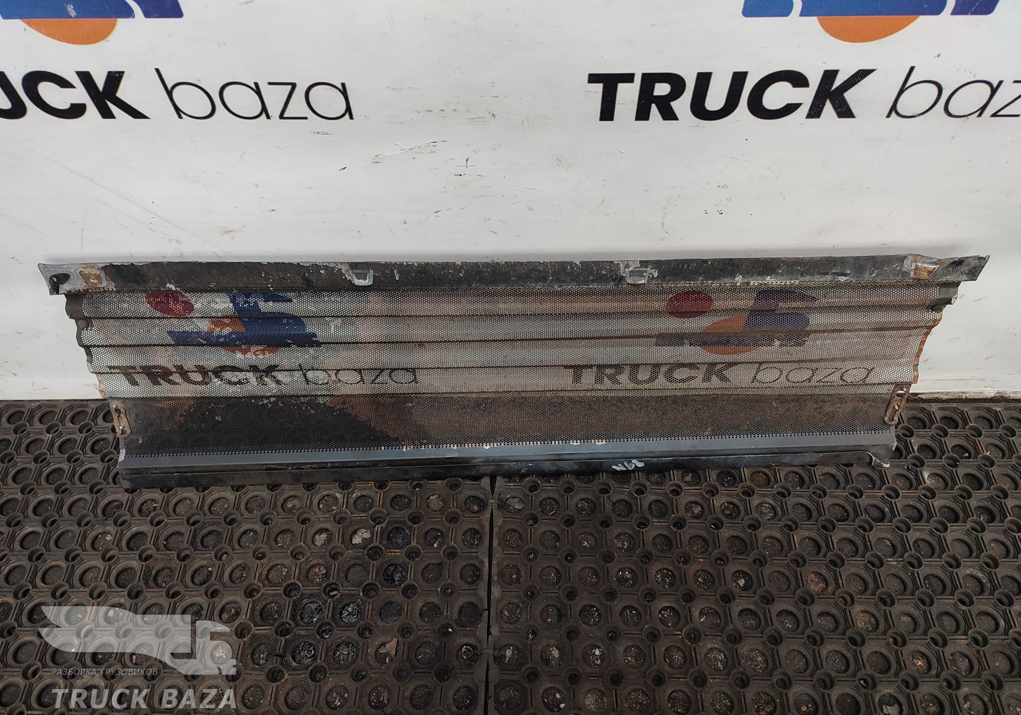 81062010117 Сетка радиатора москитная