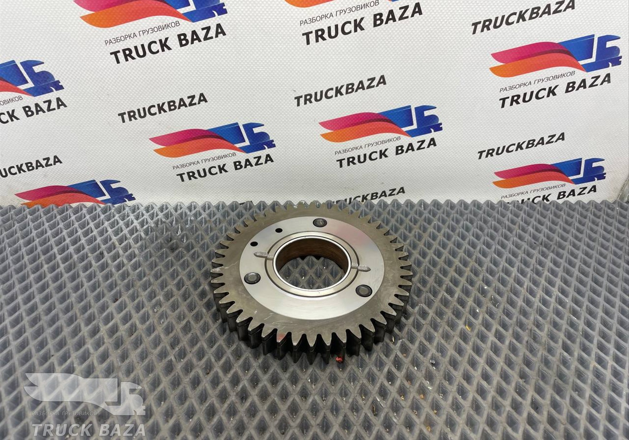 51113066008 Шестерня ГРМ для Man TGX II (с 2012)