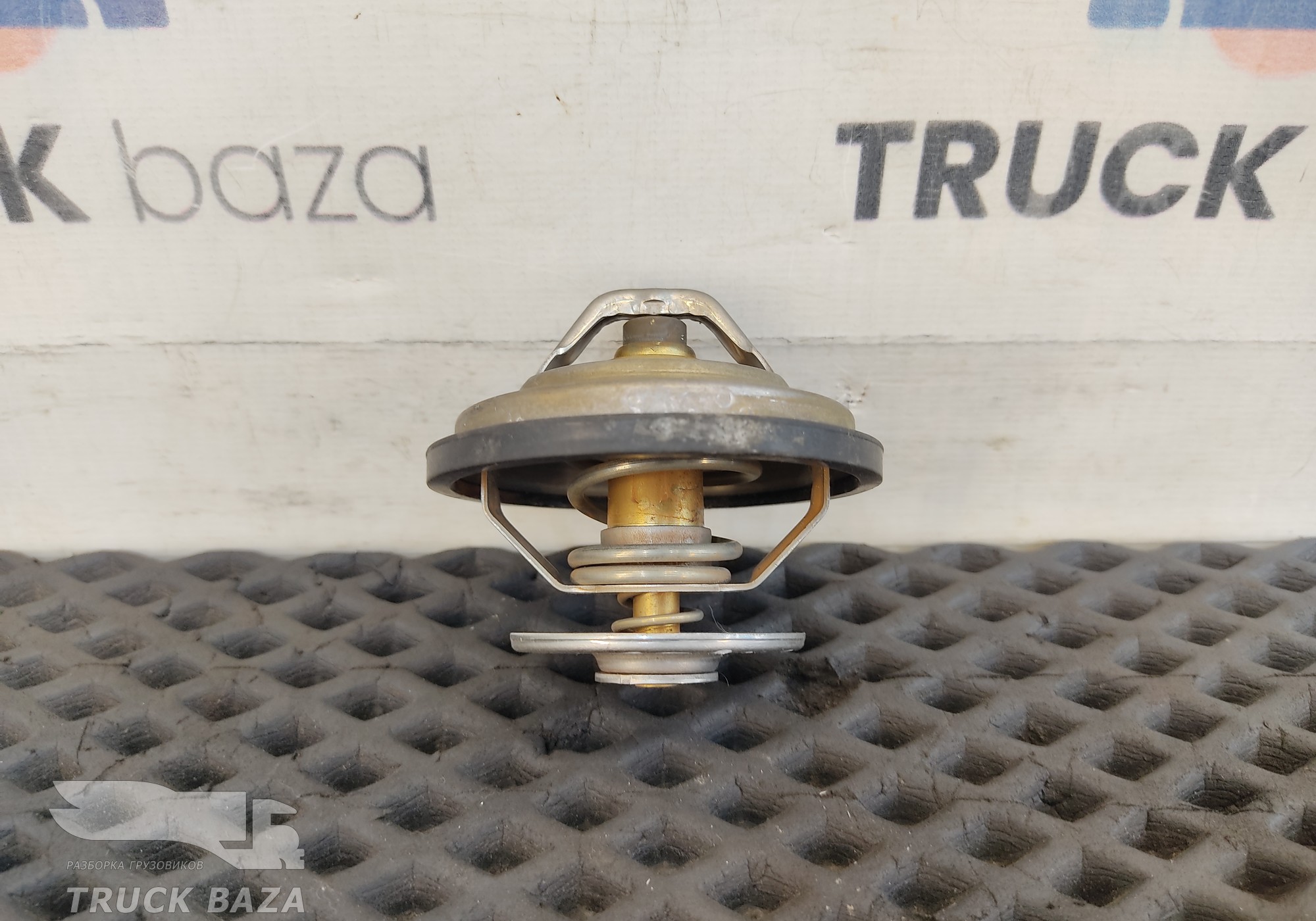 51064026006 Термостат для Man TGX