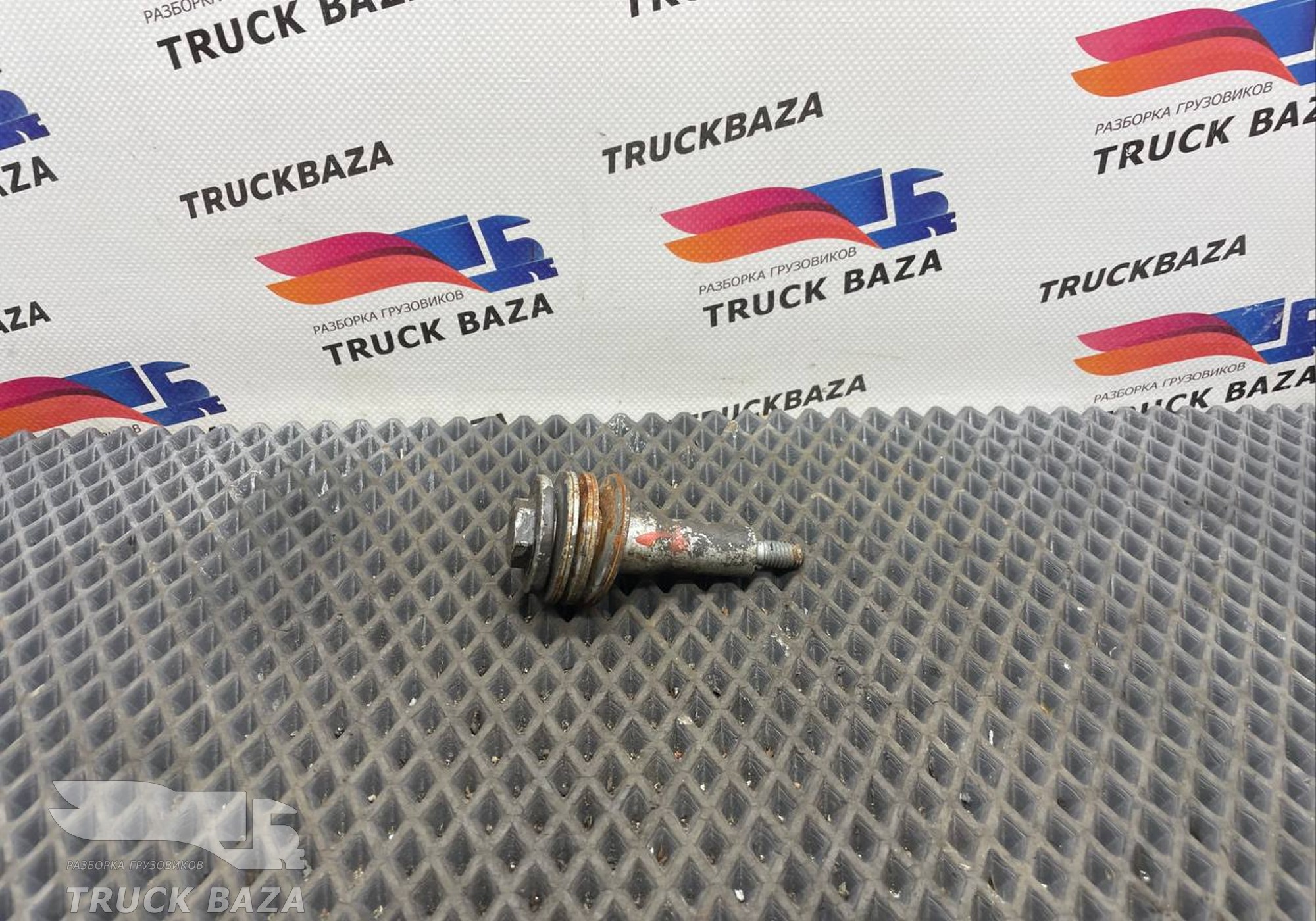 A5419900100 Болт впускного коллектора для Mercedes-Benz Actros MP3 (с 2008)