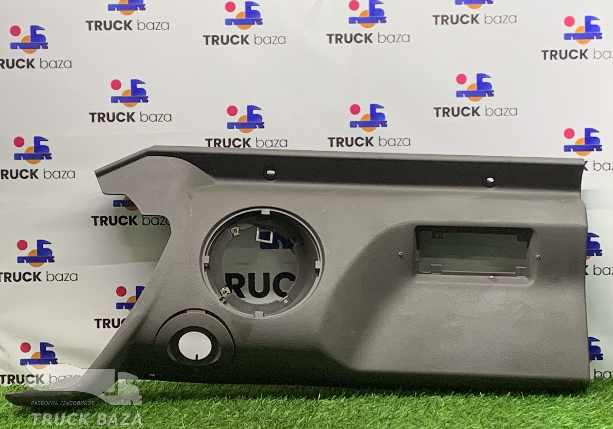 5010290208 Накладка декоративная правая